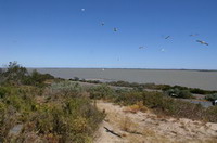 lac coorong
